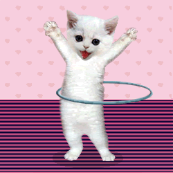 Dancing Cat